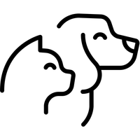 Pets